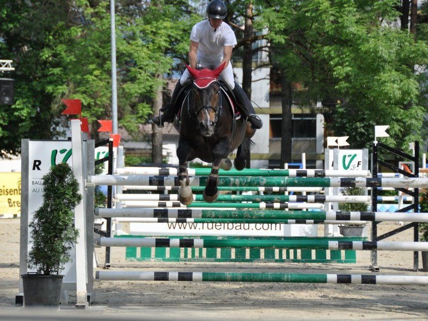 Reiten schon in jungen Jahren erlernen und die Freude zu dieser Sportart gewinnen. Reiten schon in jungen Jahren erlernen und die Freude zu dieser Sportart gewinnen.
