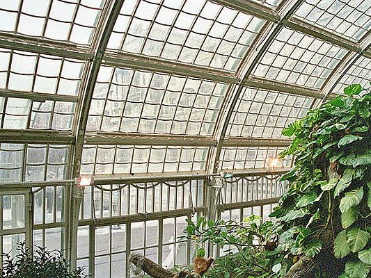 Im Schmetterlingshaus im Burggarten gab es ein Feuer Im Schmetterlingshaus im Burggarten gab es ein Feuer