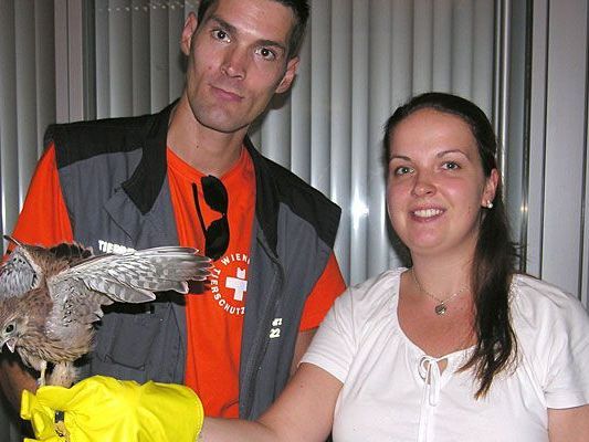 Bürgerdienst Mitarbeiterin Sina Gentner mit dem geretteten Falken und einem Mitarbeiter der Tierrettung Bürgerdienst Mitarbeiterin Sina Gentner mit dem geretteten Falken und einem Mitarbeiter der Tierrettung