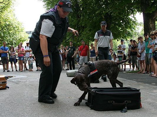 Regina Eitel und Zollhund "Lord" bei der Vorführung im Tiergarten Schönbrunn