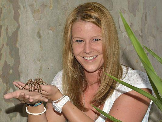 Achtbeiner hautnah: Auf Tuchfühlung mit den gefürchteten Spinnen im Tiergarten Schönbrunn