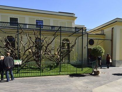 Bei freiem Eintritt kann der Tiergarten Schönbrunn am 31. juli besucht werden. Bei freiem Eintritt kann der Tiergarten Schönbrunn am 31. juli besucht werden.
