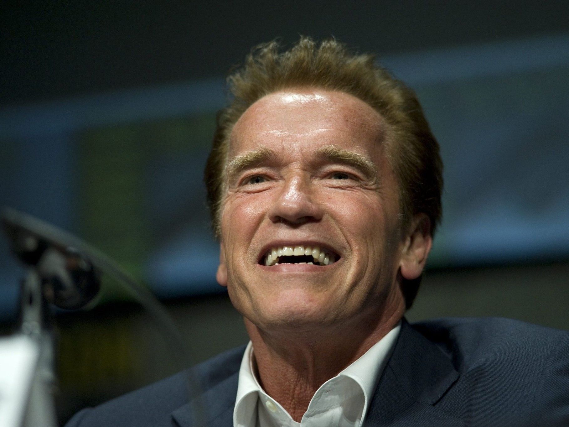 Österreichischer Weltstar machte als Terminator, Gouvenor und Mr. Universum Karriere. Österreichischer Weltstar machte als Terminator, Gouvenor und Mr. Universum Karriere.