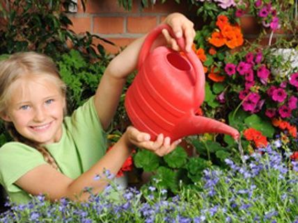 Nur wer regelmäßig gießt hat beim Blumenwettbewerb eine Chance. Nur wer regelmäßig gießt hat beim Blumenwettbewerb eine Chance.