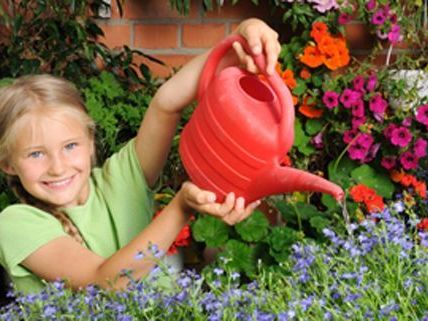 Nur wer regelmäßig gießt hat beim Blumenwettbewerb eine Chance.