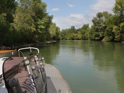 Der jährliche Aktionstag soll auf den Schutz des Gebiets um die Donau aufmerksam machen. Der jährliche Aktionstag soll auf den Schutz des Gebiets um die Donau aufmerksam machen.