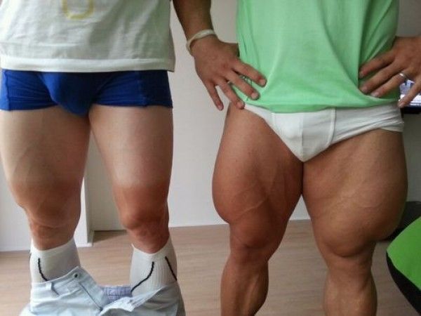 Oberschenkelvergleich bei Olympia: 73 Zentimeter Umfang haben diese Mega-Schenkel. Oberschenkelvergleich bei Olympia: 73 Zentimeter Umfang haben diese Mega-Schenkel.