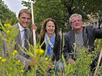 In Margareten setzt man sich für den Schutz der Gürtelwiesen ein. In Margareten setzt man sich für den Schutz der Gürtelwiesen ein.