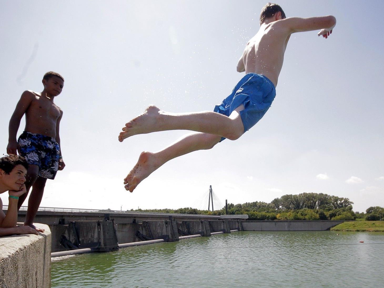 Jugendliche springen in Wien in Wasser mit hoher Qualität.