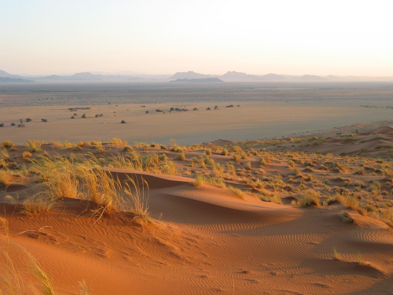 Deutsche Hydrogeologen sind im Cuvelai-Etosha-Becken in trockenen Norden Namibias auf ein riesiges Grundwasservorkommen gestoßen, dass der ehemaligen deutschen Kolonie Trinkwasser für die nächsten vier Jahrunderte sichern könnte. Deutsche Hydrogeologen sind im Cuvelai-Etosha-Becken in trockenen Norden Namibias auf ein riesiges Grundwasservorkommen gestoßen, dass der ehemaligen deutschen Kolonie Trinkwasser für die nächsten vier Jahrunderte sichern könnte.