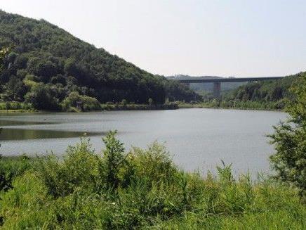 Die Leiche eines Mannes wurde am Samstag am Wienerwaldsee entdeckt.