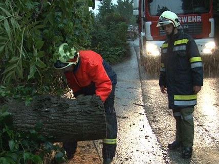Am Donnerstag kam es wegen der Unwetter zu zahlreichen Feuerwehreinsätzen in Niederösterreich.