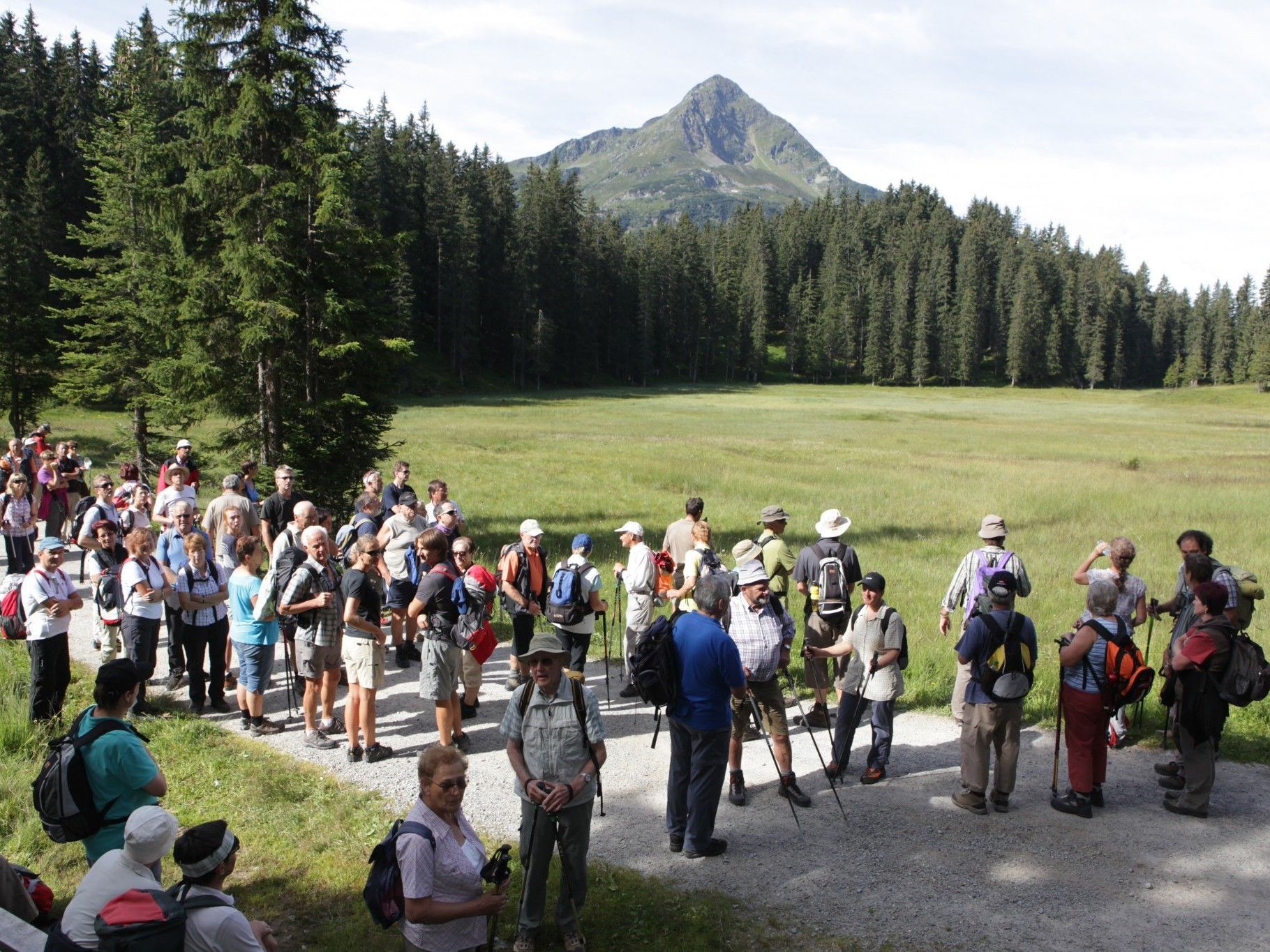 Das Hochmoor "Wildried" ist ein besonderes landschaftliches Juwel. Das Hochmoor "Wildried" ist ein besonderes landschaftliches Juwel.