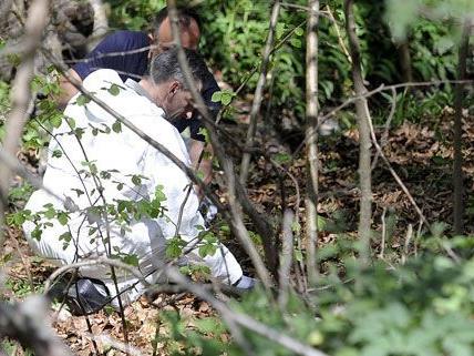 18-Jähriger nach Zeltfest vermisst: Leiche angeblich in Böschung in Niederösterreich gefunden