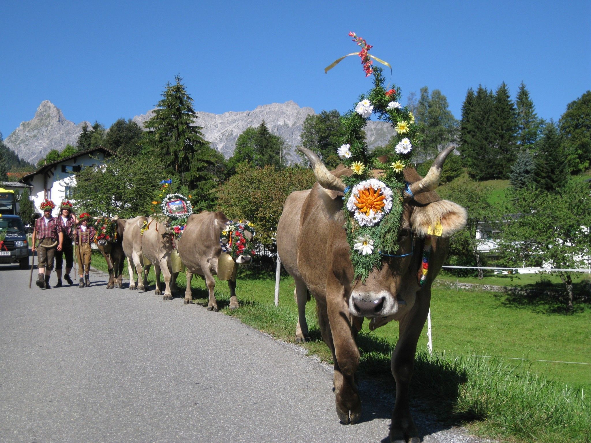 Beim einem Alpabtrieb in Tschagguns. Beim einem Alpabtrieb in Tschagguns.