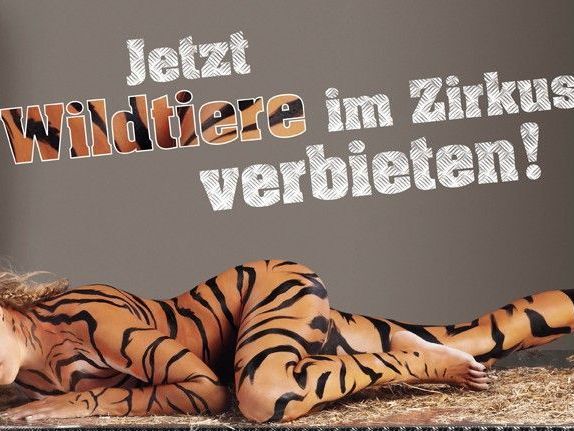 Voller Körpereinsatz: Nova Meierhenrich wird für Peta zum Tiger. Voller Körpereinsatz: Nova Meierhenrich wird für Peta zum Tiger.