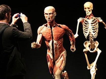 2013 soll im Naturhistorischen Museum Wien Gunther von Hagens Ausstellung Körperwelten gezeigt werden.