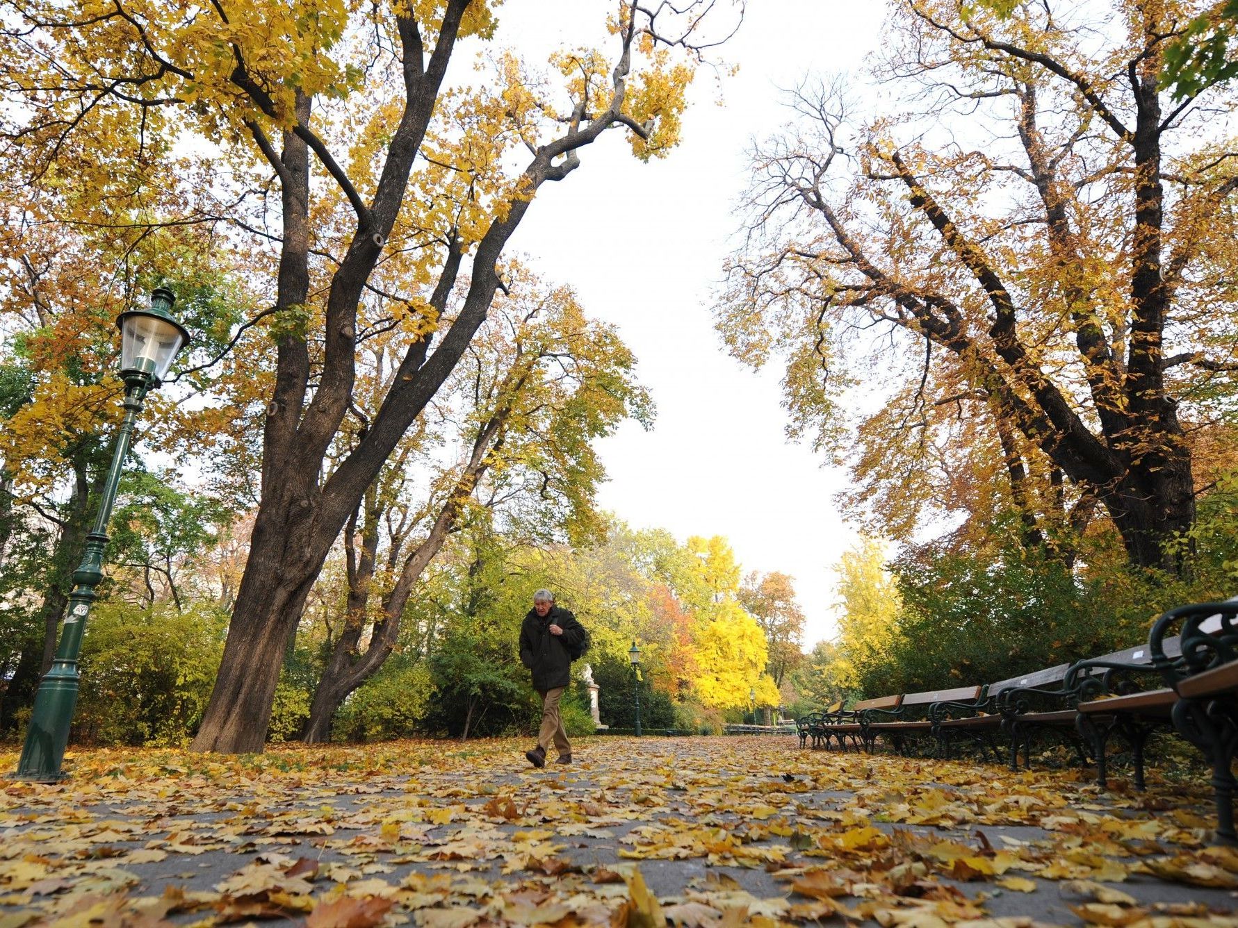 Die kommende Woche beginnt in Wien herbstlich Die kommende Woche beginnt in Wien herbstlich