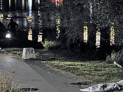 Mord auf Donauinsel: Mutmaßlicher Täter gefasst