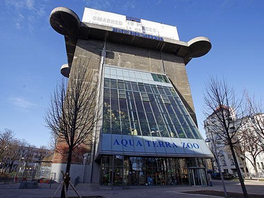 Alles neu im Haus des Meeres in Wien: Es wird aufgestockt und erhält ein Steinkorallenaquarium