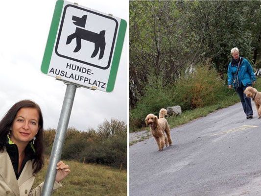 Am neuen Hundeauslaufplatz auf der Donauinsel Am neuen Hundeauslaufplatz auf der Donauinsel