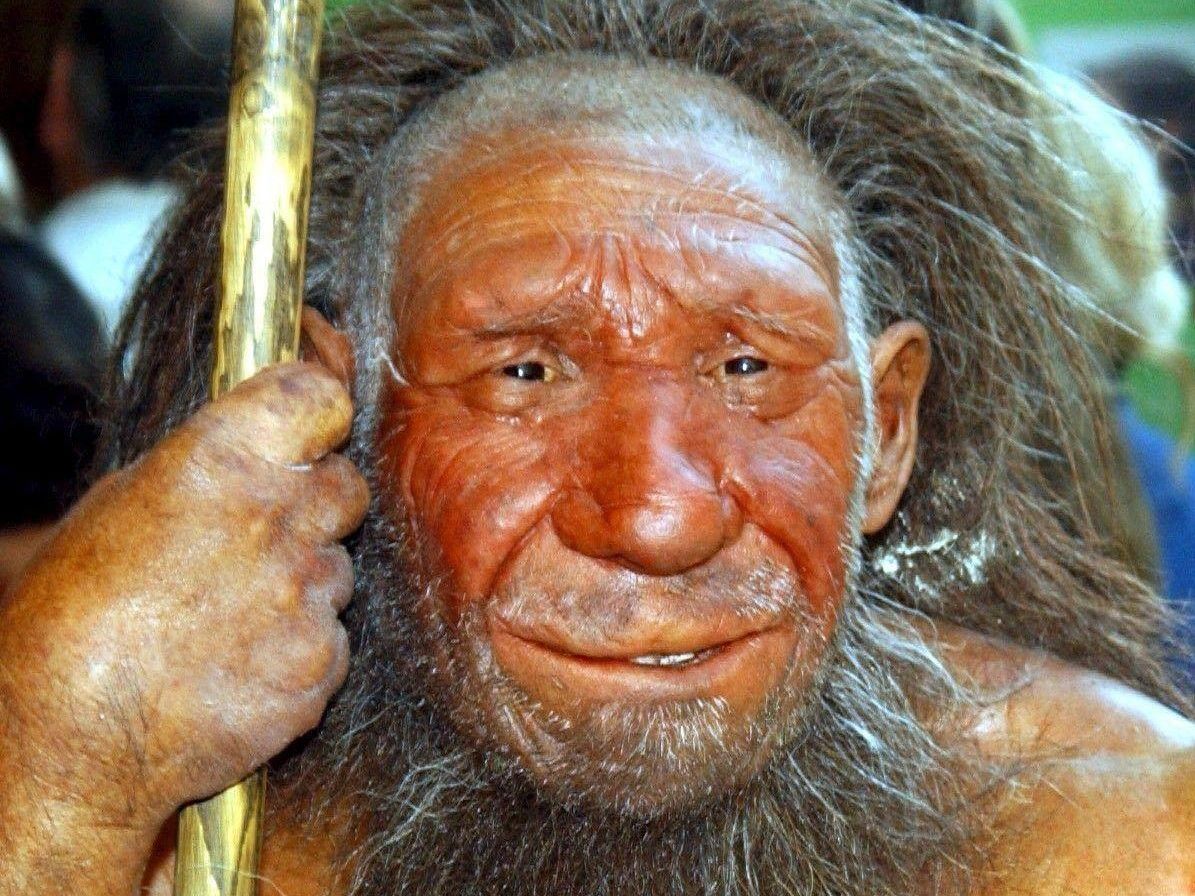 Pariser Museum zeichnet Geschichte der Haarkunst nach. Pariser Museum zeichnet Geschichte der Haarkunst nach.