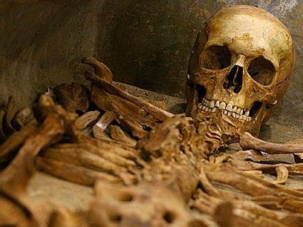 Menschliche Skelett-Teile wurden in Simmering gefunden