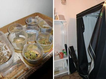 In ihrer Wohnung soll die Frau die Cannabis angebaut haben.