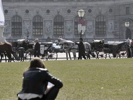 Heldenplatz oder Ballhausplatz - wo wird das Denkmal stehen?