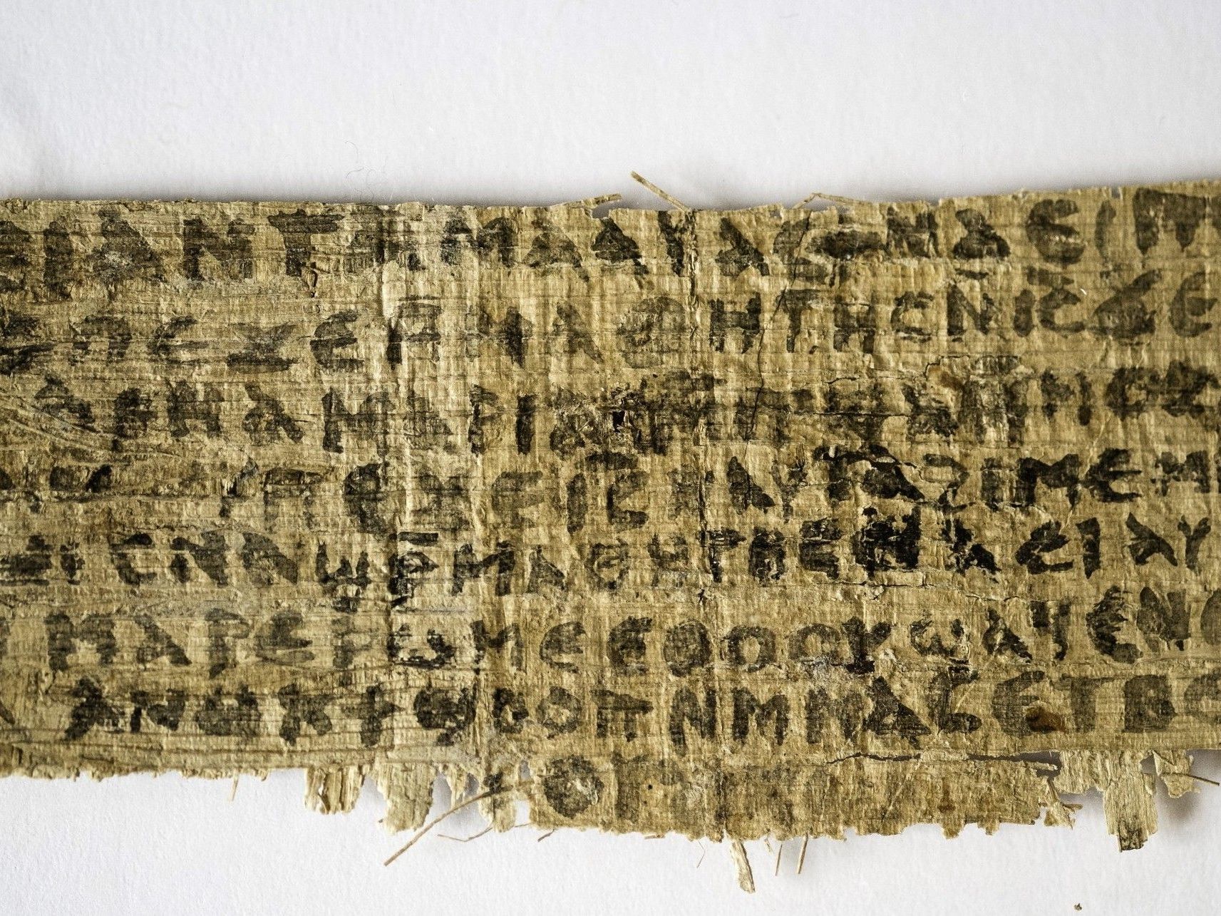 US-Wissenschaftlerin: Früher Hinweis auf Debatte unter Christen. US-Wissenschaftlerin: Früher Hinweis auf Debatte unter Christen.