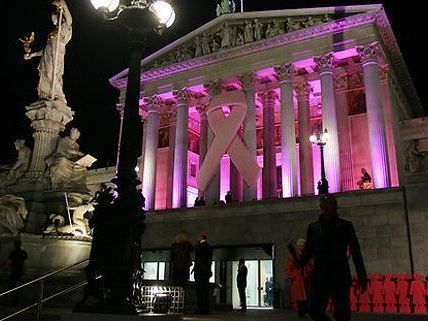 Pink Ribbon Night 2012 in Wien. Pink Ribbon Night 2012 in Wien.