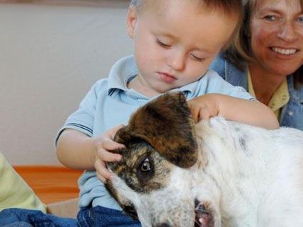 Der Erlös der Initiative kommt der Tiertherapie in SOS-Kinderdörfern zugute.