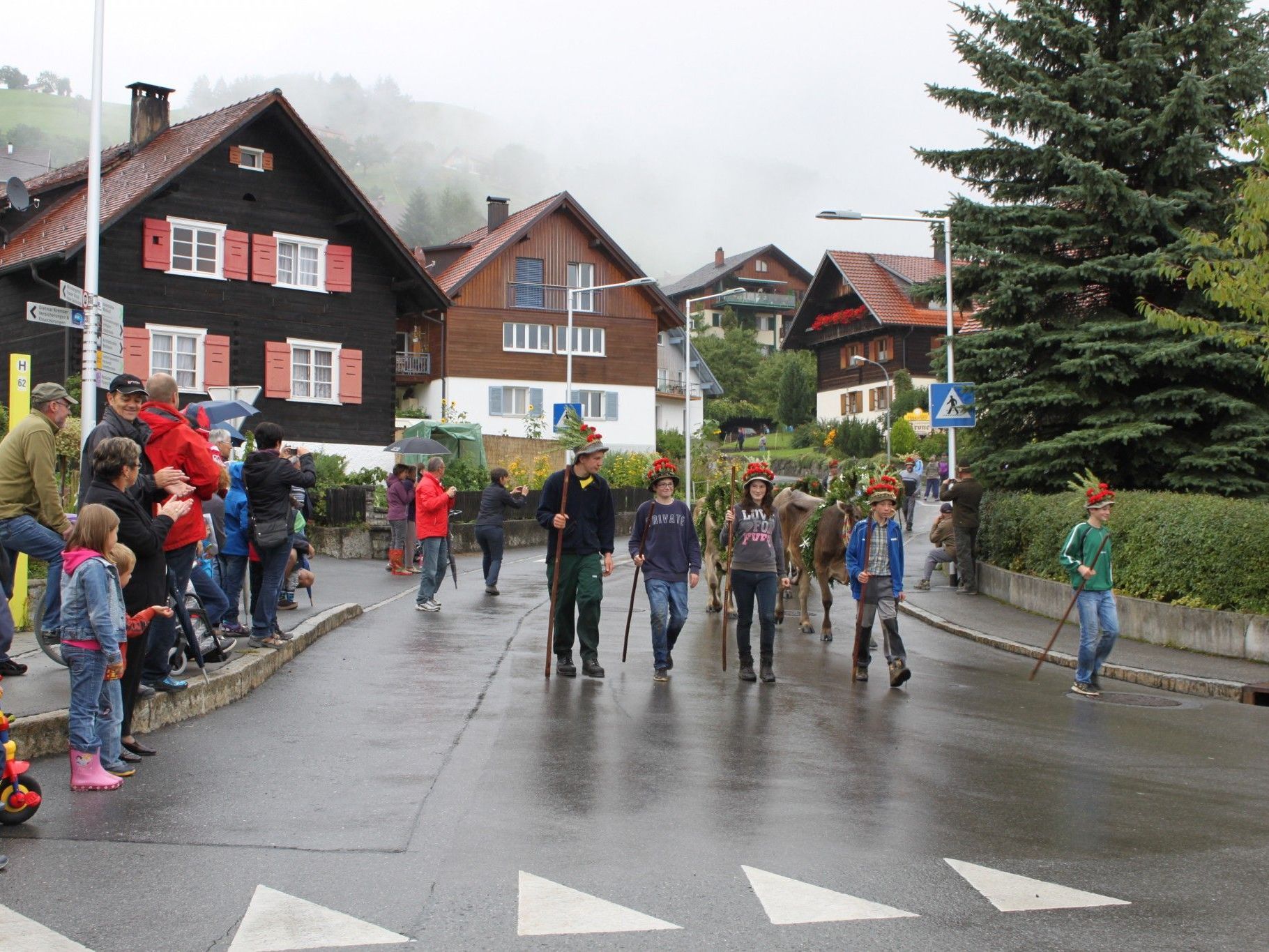 Ein traditionelles Schauspiel: Alpabtrieb in Fraxern Ein traditionelles Schauspiel: Alpabtrieb in Fraxern