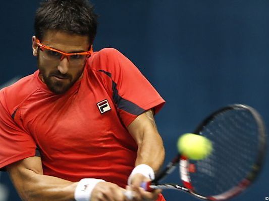 Tipsarevic problemlos eine Runde weiter Tipsarevic problemlos eine Runde weiter