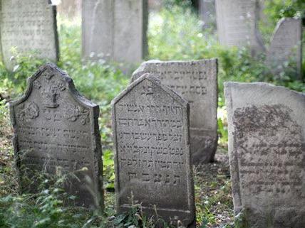 Letzte Ruhe als Ziel: Friedhofs-Navi zeigt Weg zu Wiener Gräbern
