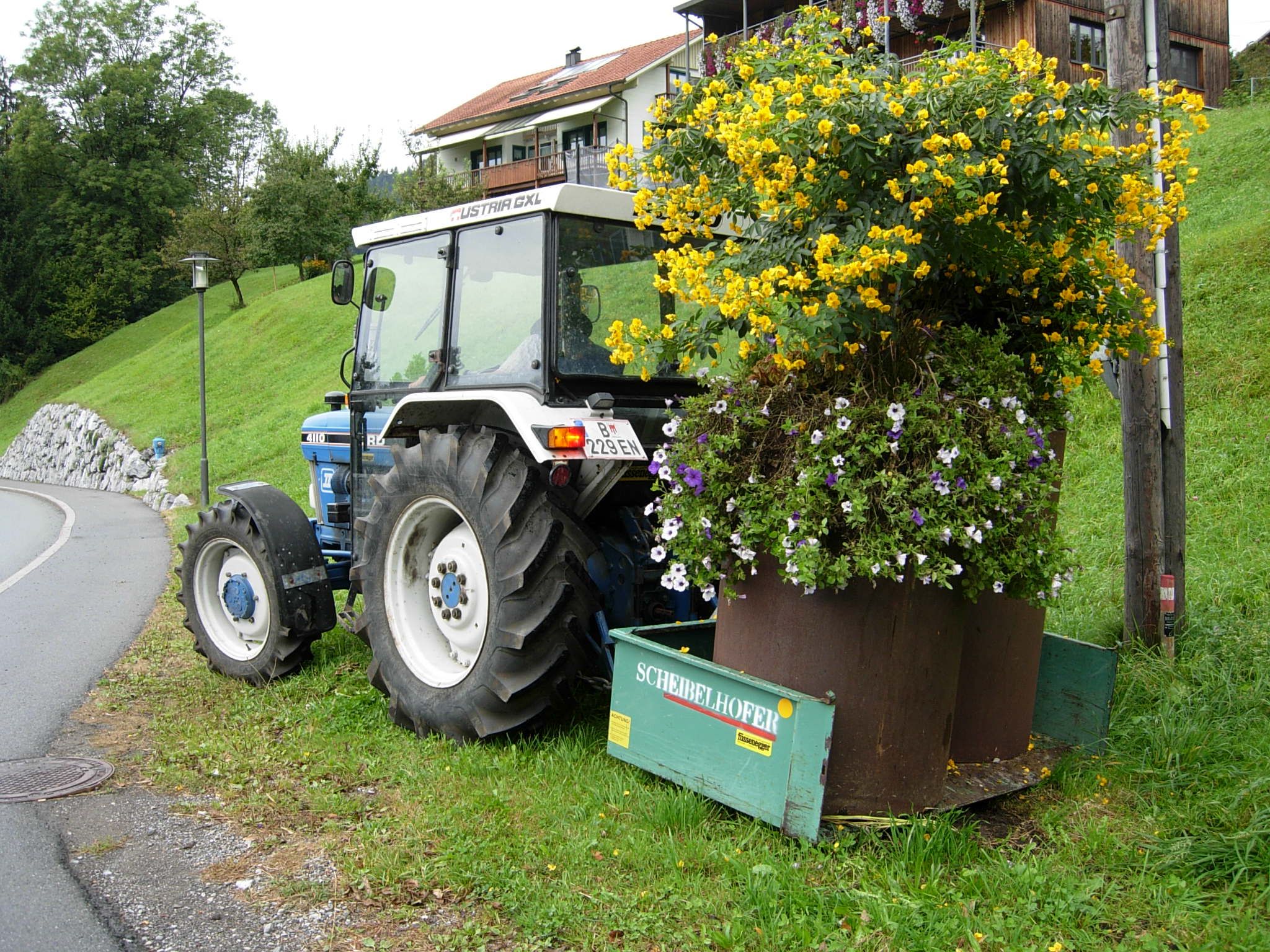Alberschwender Blumenpunkte kommen in das Winterquartier Alberschwender Blumenpunkte kommen in das Winterquartier