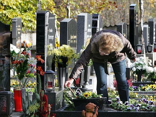 Grabpflege zu Allerheiligen auf einem Friedhof in Wien Grabpflege zu Allerheiligen auf einem Friedhof in Wien