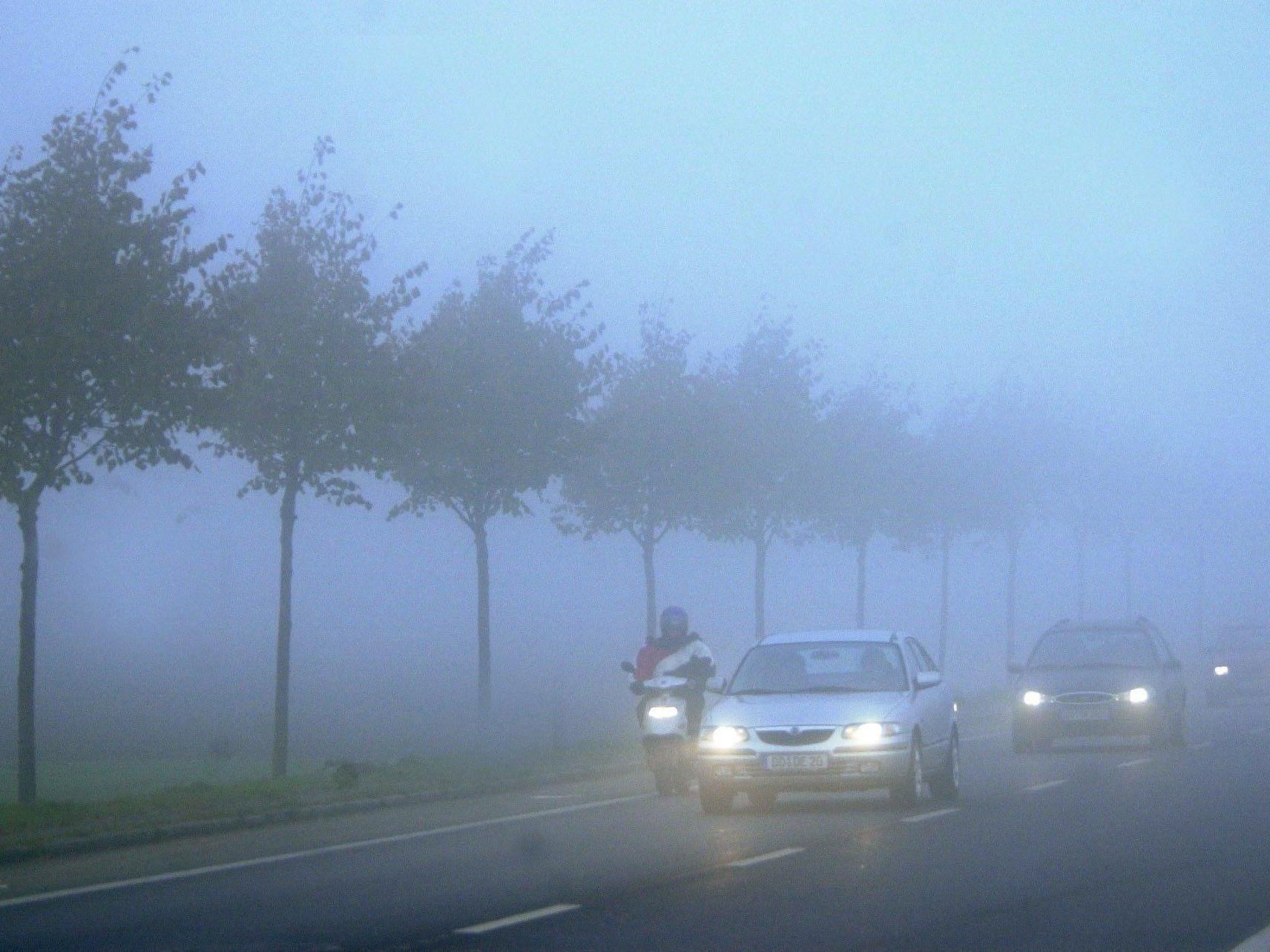 Besonders das "Lemmingverhalten" fordert viele Unfälle bei Nebel.
