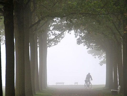 Nebel wird in den nächsten Tagen ein oft gesehener Gast sein