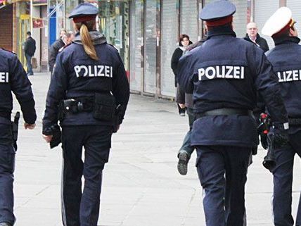 Polizisten versuchten der Randaliererin in Penzing beizukommen