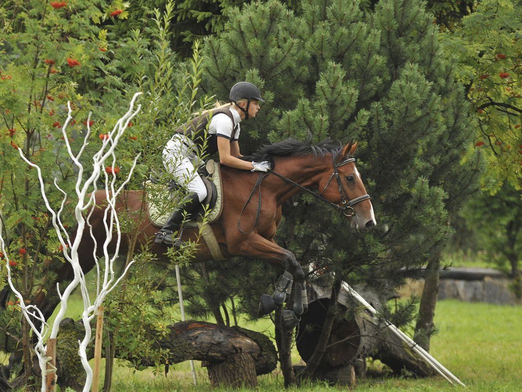 Am Staatsfeiertag findet auf der Reitanlage des Reitclub Wildfang ein Reitfest für Groß & Klein statt Am Staatsfeiertag findet auf der Reitanlage des Reitclub Wildfang ein Reitfest für Groß & Klein statt