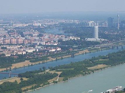 Am Mittwoch kam es auf der Donauinsel in Wien-Floridsdorf zu einer Festnahme.
