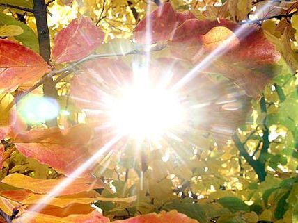 Spaß im Herbst: Ob outdoor oder indoor, in Wien gibt es viele Möglichkeiten. Spaß im Herbst: Ob outdoor oder indoor, in Wien gibt es viele Möglichkeiten.