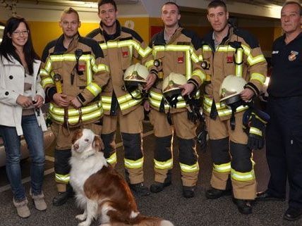 Feuerwehr Vösendorf befreit Australian Shepherd "Sammy" aus Kofferraum Feuerwehr Vösendorf befreit Australian Shepherd "Sammy" aus Kofferraum