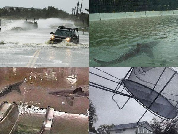 Zahlreiche echte wie auch gefälschte Bilder des Sturms finden sich auf sozialen Netzwerken. Zahlreiche echte wie auch gefälschte Bilder des Sturms finden sich auf sozialen Netzwerken.
