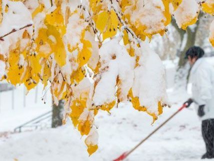 In weiten Teilen Österreichs hat es schon geschneit, in der kommenden Woche wird das Wetter milder. In weiten Teilen Österreichs hat es schon geschneit, in der kommenden Woche wird das Wetter milder.