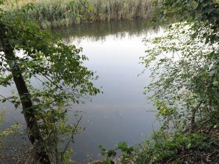 An diesem Ort in der Au an der Donau im Bezirk Tulln wurde die Frauenleiche entdeckt. An diesem Ort in der Au an der Donau im Bezirk Tulln wurde die Frauenleiche entdeckt.