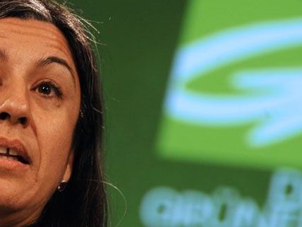 Verkehrsstadträtin Maria Vassilakou wünscht sich auch für Währing das Parkpickerl. Verkehrsstadträtin Maria Vassilakou wünscht sich auch für Währing das Parkpickerl.