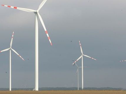 Der Windpark in Glinzendorf wurde eröffnet. Der Windpark in Glinzendorf wurde eröffnet.