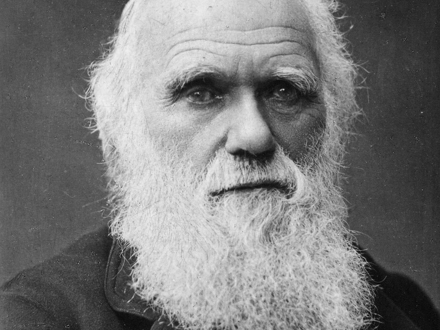 Auf Facebook zur Wahl von Charles Darwin aufgerufen. Auf Facebook zur Wahl von Charles Darwin aufgerufen.